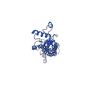 21594_6wbn_I_v1-2
Cryo-EM structure of human Pannexin 1 channel N255A mutant, gap junction