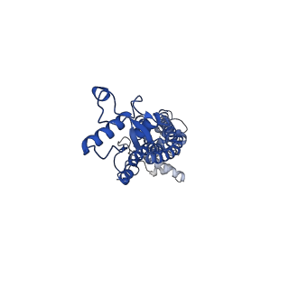 21594_6wbn_J_v2-0
Cryo-EM structure of human Pannexin 1 channel N255A mutant, gap junction