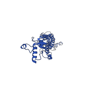 21594_6wbn_K_v1-2
Cryo-EM structure of human Pannexin 1 channel N255A mutant, gap junction