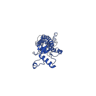 21594_6wbn_L_v1-2
Cryo-EM structure of human Pannexin 1 channel N255A mutant, gap junction