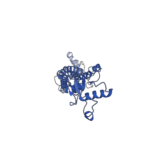 21594_6wbn_M_v1-2
Cryo-EM structure of human Pannexin 1 channel N255A mutant, gap junction