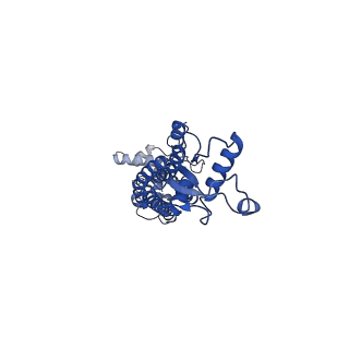 21594_6wbn_N_v1-2
Cryo-EM structure of human Pannexin 1 channel N255A mutant, gap junction