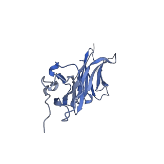21599_6wbv_H_v1-1
Structure of human ferroportin bound to hepcidin and cobalt in lipid nanodisc