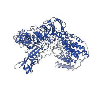 21600_6wbx_A_v1-2
Single-Particle Cryo-EM Structure of Arabinofuranosyltransferase AftD from Mycobacteria, Mutant R1389S Class 1