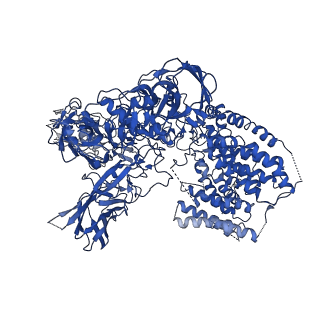 21601_6wby_A_v1-2
Single-Particle Cryo-EM Structure of Arabinofuranosyltransferase AftD from Mycobacteria, Mutant R1389S Class 2