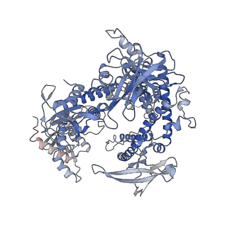 32392_7wb1_A_v1-1
PlmCasX-sgRNAv2-dsDNA ternary complex at nts loading state