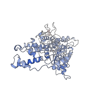 32396_7wbb_A_v1-0
Cryo-EM structure of substrate engaged Drg1 hexamer