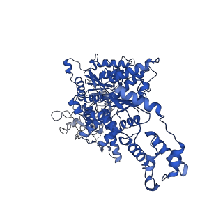 32396_7wbb_C_v1-0
Cryo-EM structure of substrate engaged Drg1 hexamer
