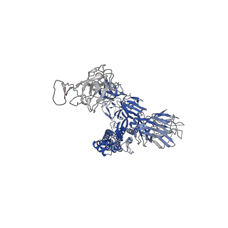 32398_7wbh_A_v1-0
overall structure of hu33 and spike