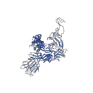 32398_7wbh_C_v1-0
overall structure of hu33 and spike