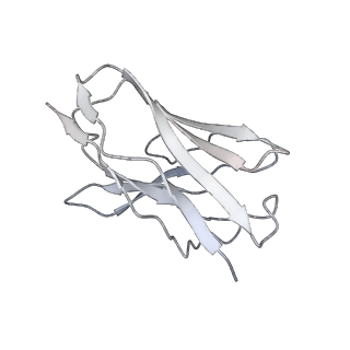 32398_7wbh_O_v1-0
overall structure of hu33 and spike