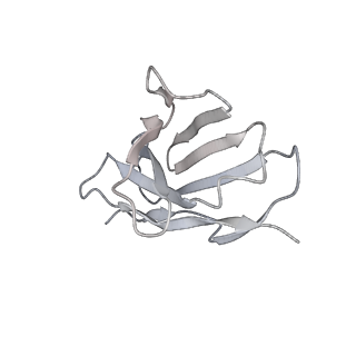 32398_7wbh_S_v1-0
overall structure of hu33 and spike