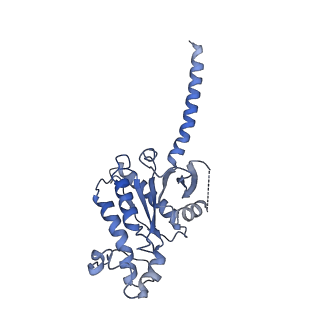 32401_7wbj_A_v1-0
Cryo-EM structure of N-terminal modified human vasoactive intestinal polypeptide receptor 2 (VIP2R) in complex with PACAP27 and Gs