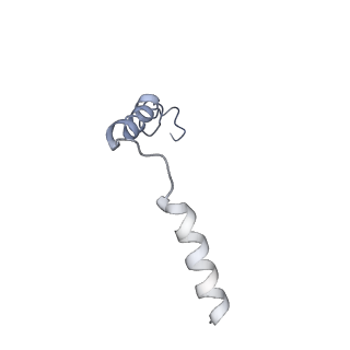 32401_7wbj_G_v1-0
Cryo-EM structure of N-terminal modified human vasoactive intestinal polypeptide receptor 2 (VIP2R) in complex with PACAP27 and Gs