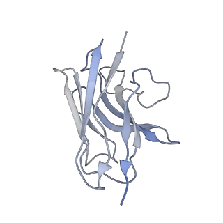 32401_7wbj_N_v1-0
Cryo-EM structure of N-terminal modified human vasoactive intestinal polypeptide receptor 2 (VIP2R) in complex with PACAP27 and Gs