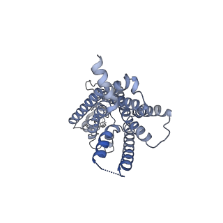 32401_7wbj_R_v1-0
Cryo-EM structure of N-terminal modified human vasoactive intestinal polypeptide receptor 2 (VIP2R) in complex with PACAP27 and Gs