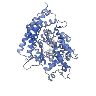 32405_7wbl_A_v1-2
Cryo-EM structure of human ACE2 complexed with SARS-CoV-2 Omicron RBD