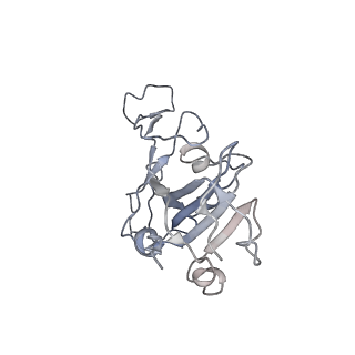 32405_7wbl_B_v1-2
Cryo-EM structure of human ACE2 complexed with SARS-CoV-2 Omicron RBD