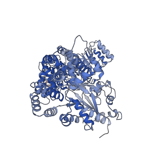 32406_7wbu_A_v1-1
Cryo-EM structure of bovine NLRP9