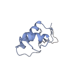 32407_7wbv_F_v1-0
RNA polymerase II elongation complex bound with Elf1 and Spt4/5, stalled at SHL(-4) of the nucleosome