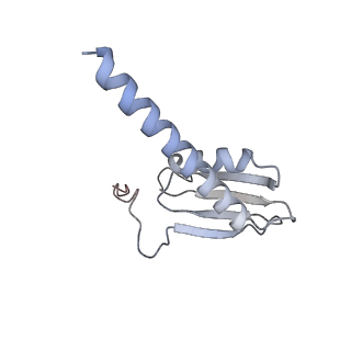 32407_7wbv_K_v1-0
RNA polymerase II elongation complex bound with Elf1 and Spt4/5, stalled at SHL(-4) of the nucleosome