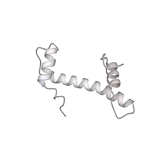 32407_7wbv_b_v1-0
RNA polymerase II elongation complex bound with Elf1 and Spt4/5, stalled at SHL(-4) of the nucleosome