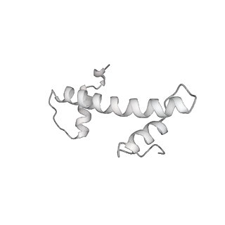 32407_7wbv_f_v1-0
RNA polymerase II elongation complex bound with Elf1 and Spt4/5, stalled at SHL(-4) of the nucleosome