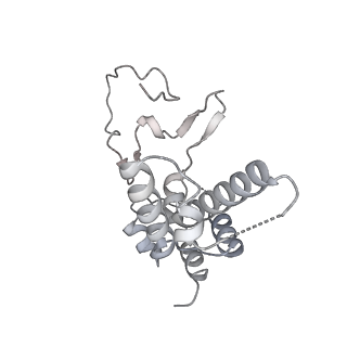 32409_7wbx_D_v1-0
RNA polymerase II elongation complex bound with Elf1 and Spt4/5, stalled at SHL(-3) of the nucleosome