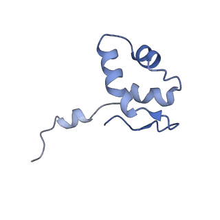 32409_7wbx_J_v1-0
RNA polymerase II elongation complex bound with Elf1 and Spt4/5, stalled at SHL(-3) of the nucleosome