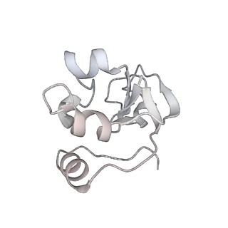 32409_7wbx_V_v1-0
RNA polymerase II elongation complex bound with Elf1 and Spt4/5, stalled at SHL(-3) of the nucleosome