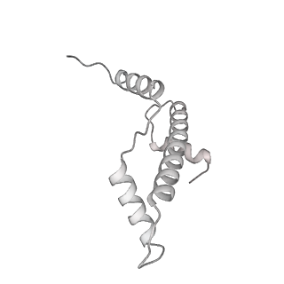 32409_7wbx_a_v1-0
RNA polymerase II elongation complex bound with Elf1 and Spt4/5, stalled at SHL(-3) of the nucleosome