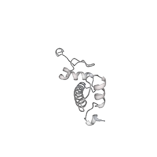 32409_7wbx_c_v1-0
RNA polymerase II elongation complex bound with Elf1 and Spt4/5, stalled at SHL(-3) of the nucleosome