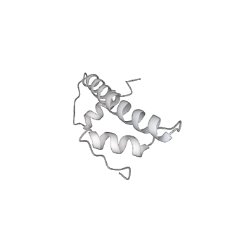 32409_7wbx_f_v1-0
RNA polymerase II elongation complex bound with Elf1 and Spt4/5, stalled at SHL(-3) of the nucleosome