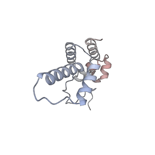 37411_8wb0_r_v1-1
De novo transcribing complex 17 (TC17), the early elongation complex with Pol II positioned 17nt downstream of TSS
