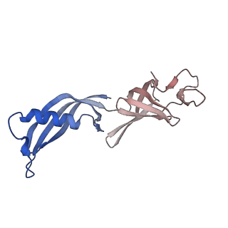 37411_8wb0_u_v1-1
De novo transcribing complex 17 (TC17), the early elongation complex with Pol II positioned 17nt downstream of TSS