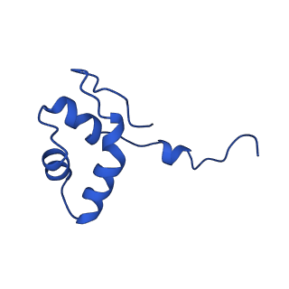 37411_8wb0_x_v1-1
De novo transcribing complex 17 (TC17), the early elongation complex with Pol II positioned 17nt downstream of TSS