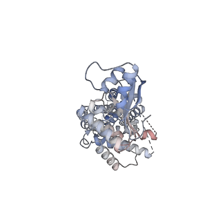 37426_8wbx_A_v1-0
Cryo-EM structure of the ABCG25 bound to ABA