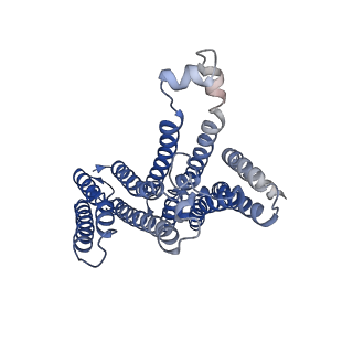 21604_6wca_A_v1-2
Human closed state TMEM175 in KCl