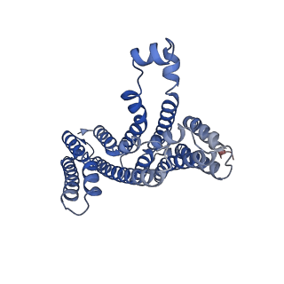 21605_6wcb_A_v1-2
Human open state TMEM175 in CsCl