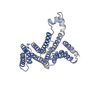 21606_6wcc_A_v1-2
Human closed state TMEM175 in CsCl