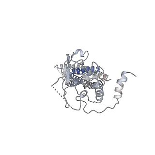 21618_6wcz_A_v1-2
CryoEM structure of full-length ZIKV NS5-hSTAT2 complex