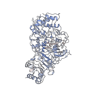 21618_6wcz_B_v1-2
CryoEM structure of full-length ZIKV NS5-hSTAT2 complex