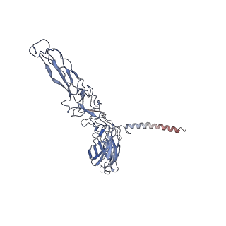 32412_7wc2_A_v1-0
Cryo-EM structure of alphavirus, Getah virus