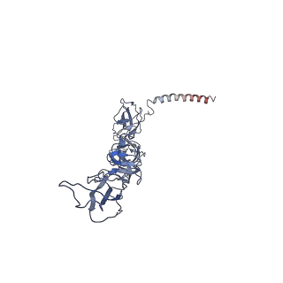 32412_7wc2_D_v1-0
Cryo-EM structure of alphavirus, Getah virus