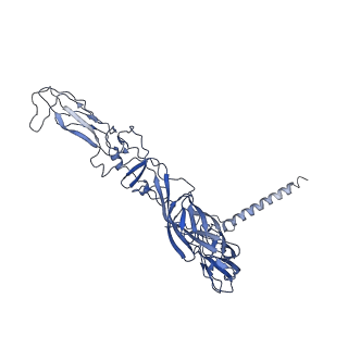 32412_7wc2_J_v1-0
Cryo-EM structure of alphavirus, Getah virus