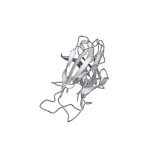 32421_7wcd_A_v1-1
Cryo EM structure of SARS-CoV-2 spike in complex with TAU-2212 mAbs in conformation 4