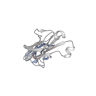 32421_7wcd_B_v1-1
Cryo EM structure of SARS-CoV-2 spike in complex with TAU-2212 mAbs in conformation 4