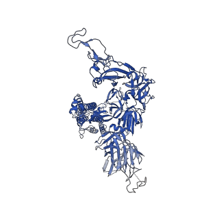 32421_7wcd_C_v1-1
Cryo EM structure of SARS-CoV-2 spike in complex with TAU-2212 mAbs in conformation 4
