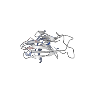 32421_7wcd_E_v1-1
Cryo EM structure of SARS-CoV-2 spike in complex with TAU-2212 mAbs in conformation 4