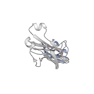 32421_7wcd_F_v1-1
Cryo EM structure of SARS-CoV-2 spike in complex with TAU-2212 mAbs in conformation 4